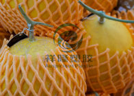 Protection colorée de fruit de couverture de filet de mousse d'EPE emballant la certification ISO9001/2008